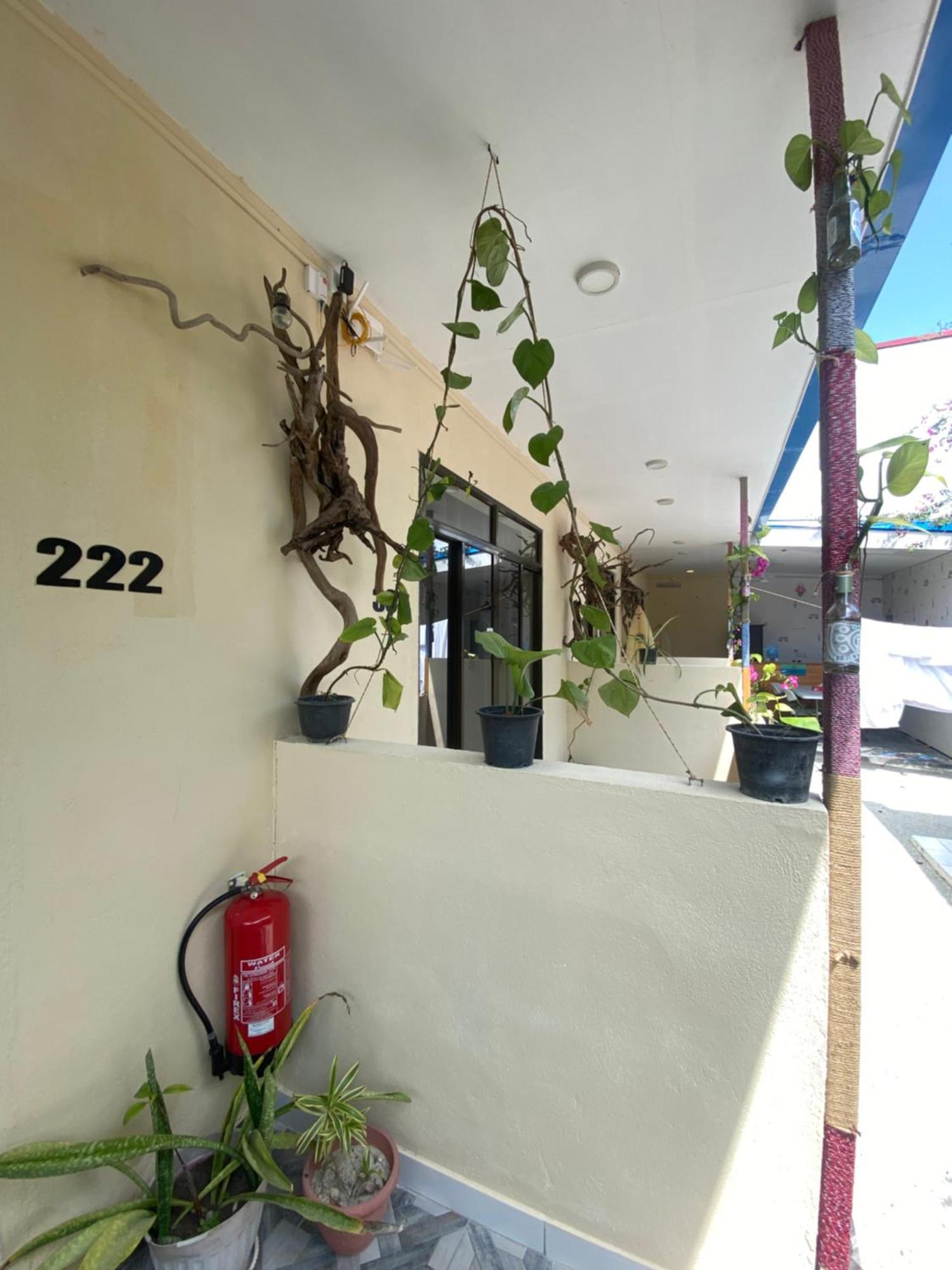 Maavaharu Guest House ヒンマフシ島 エクステリア 写真